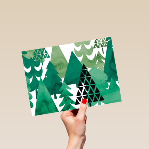 forest full of trees
