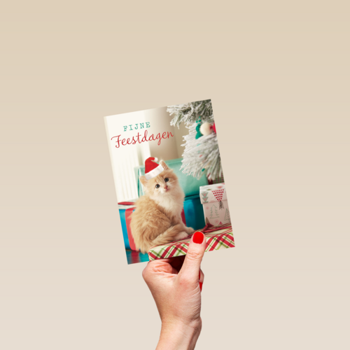 kerstkaart fijne feestdagen feest