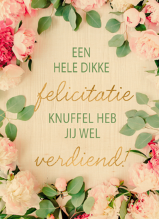 gefeliciteerd kaart felicitatieknuffel heb jij wel verdiend
