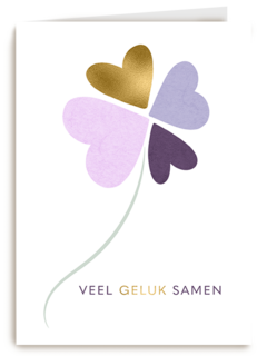 Love Story Veel Geluk Samen