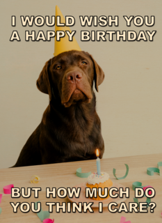 verjaardagskaart met hond met feesthoed