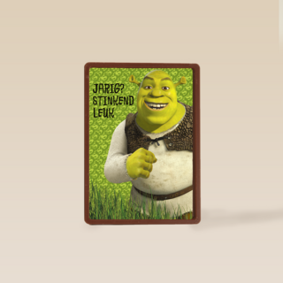 Shrek Jarig Stinkend Leuk