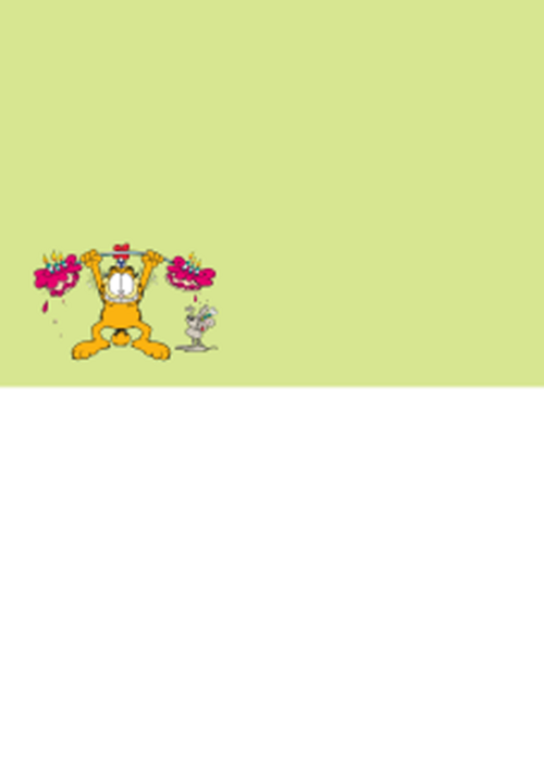 Garfield jij bent zwaar jarig