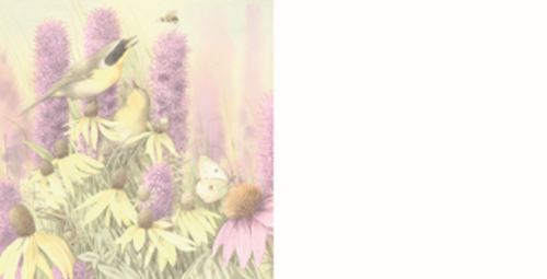 bloemen en vlinders