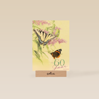 zestig jaar met vlinders