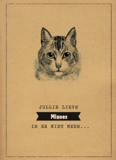 condoleance huisdier jullie lieve kat is er niet meer
