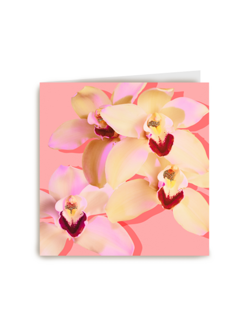 Kaart Hallmark | Moeilijke Momenten | Blanco Kaart Orchidee
