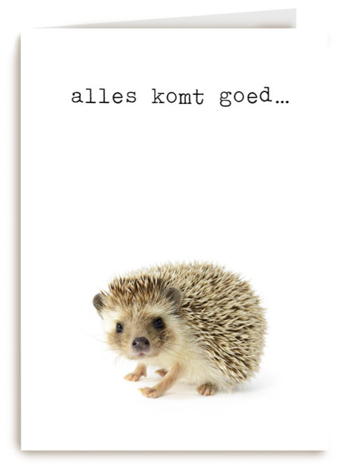 Sterkte kaart Furry Cuddles egeltje