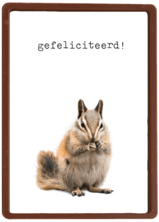 Gefeliciteerd kaart furry cuddles eekhoorn