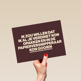 Ik zou je verdriet willen oppakken