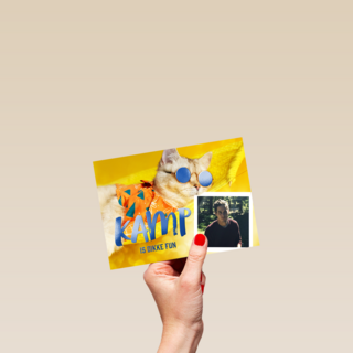 Kamp is dikke fun fotokaart kat