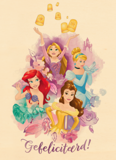 gefeliciteerd van deze disney prinsessen