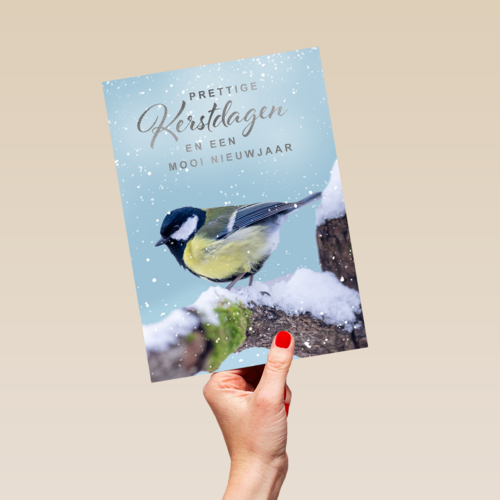 Kerstkaart vogel op tak winter