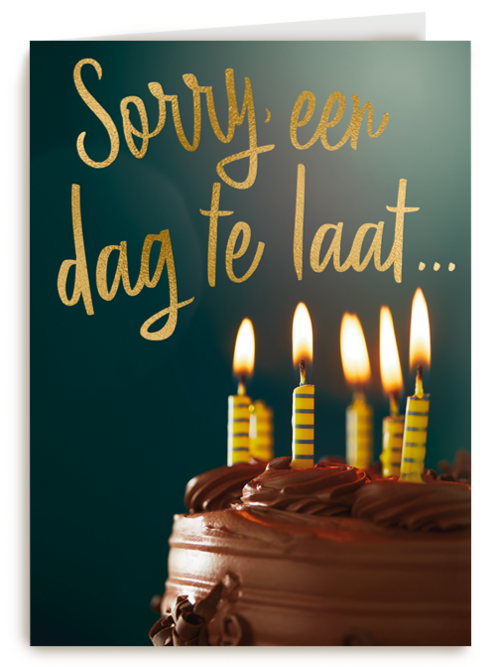 Kaart Hallmark | Te Laat | Verjaardag Te Laat Taart Sorry Een Dag Te Laat