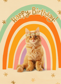 Regenboog kat Happy Birthday