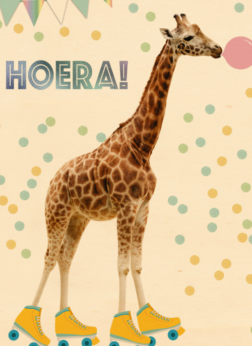 hoera met deze giraffe met confetti