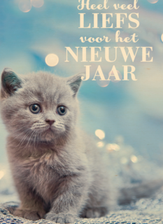 veel liefs voor het nieuwe jaar met deze kitten