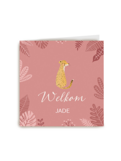 geboorte dochter cheetah welkom