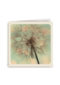 love blooms here