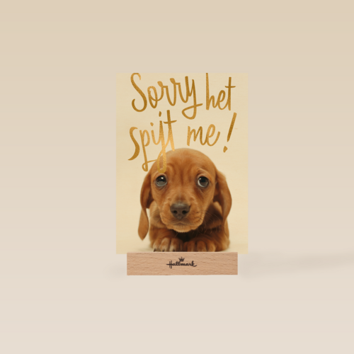 verjaardag te laat sorry het spijt me puppy