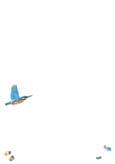 Nieuwjaar 2027 Vogel winter