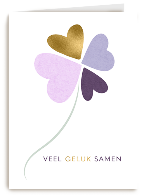 Kaart Hallmark | Huwelijksjubileum | Love Story Veel Geluk Samen