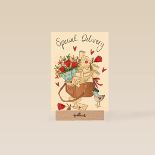 Matia Studio   Special Delivery