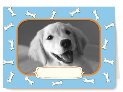fotokaart met groetjes van onze hond