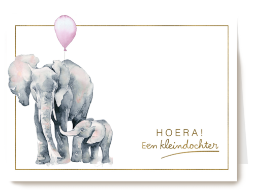 olifanten met ballon