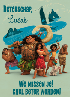 Disney Vaiana 2 Beterschap