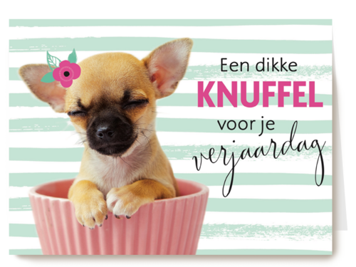 verjaardagskaart met de tekst een dikke knuffel voor je verjaardag