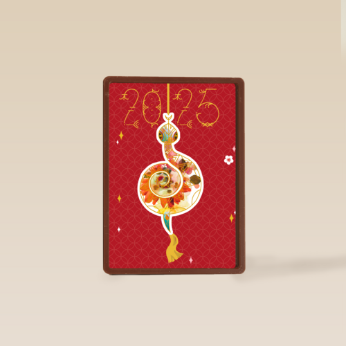Year of the snake Chinees nieuwjaar