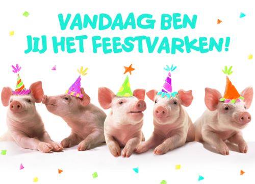 Ansichtkaart vandaag ben jij het feestvarken