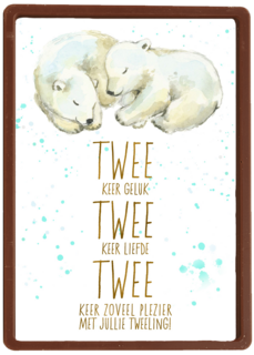 2 keer geluk 2 keer liefde 2 keer plezier met jullie tweeling