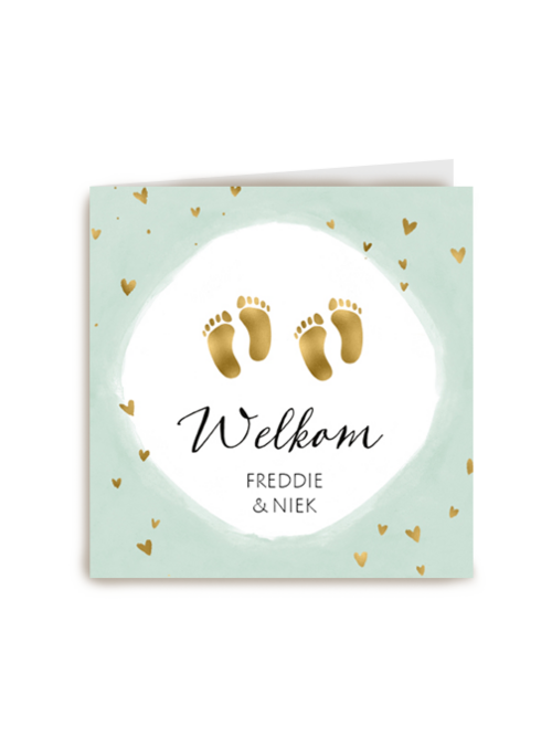 geboorte meerling welkom lieve zoontjes
