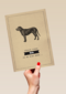 condoleance huisdier jullie lieve hond is er niet meer