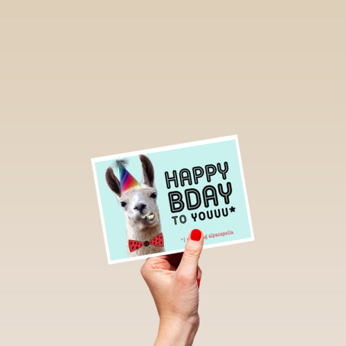 happy bady party alpaca