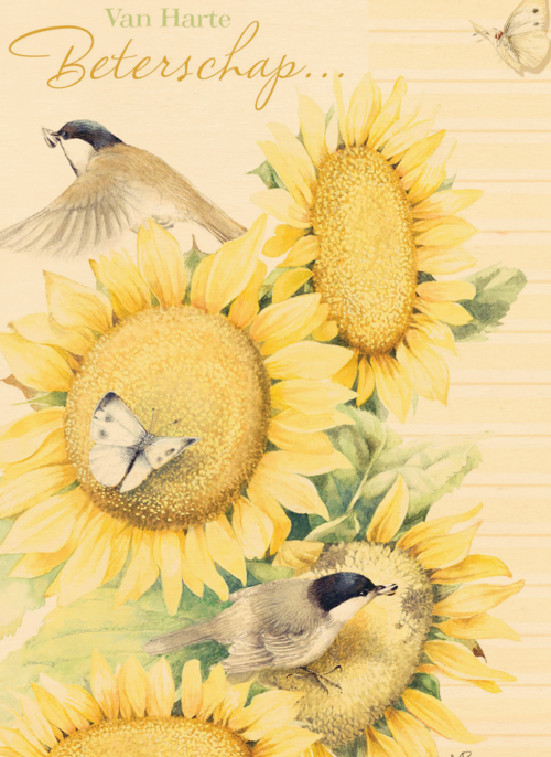 Houten Kaart Beterschapskaarten | Houten Kaart Hallmark | Beterschapskaarten | Zonnebloemen Met Mus Beterschap