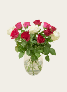 Brievenbusbloemen Roze Rood Mix 