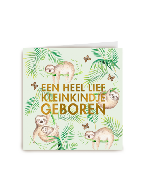 Kaart Hallmark | Geboorte Felicitatie | Een Heel Lief Kleinkindje Geboren