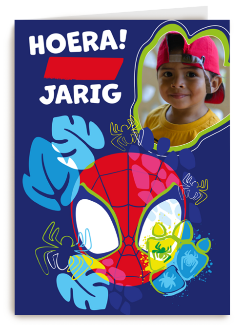 Spidey and friends Verjaardagskaart