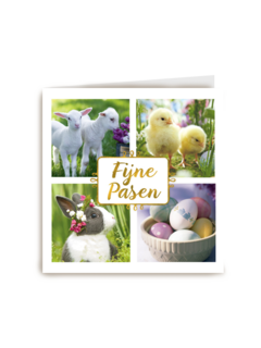 fijne pasen 4 fotos