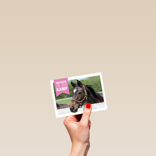 amuseer je op paardenkamp
