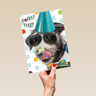 hoera feest hond met zonnebril