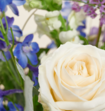 Boeket Bloemen Marjolein Bastin Collectie