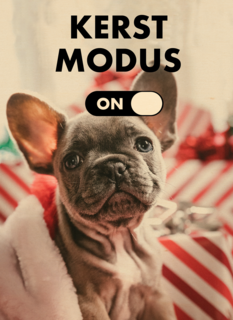 hallmark kerstkaart kerstmodus on