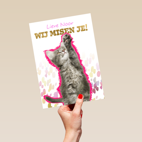 Lieve we missen je kat Op Kamp