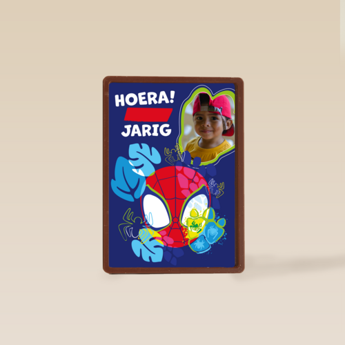 Spidey and friends Verjaardagskaart