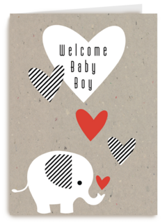 elephant welcome baby boy