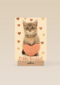Liefde kaart kat met hart en dikke knuffel